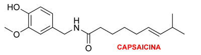 capsaicina