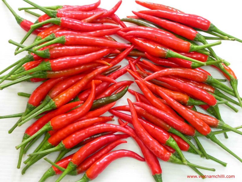 pimiento-chile